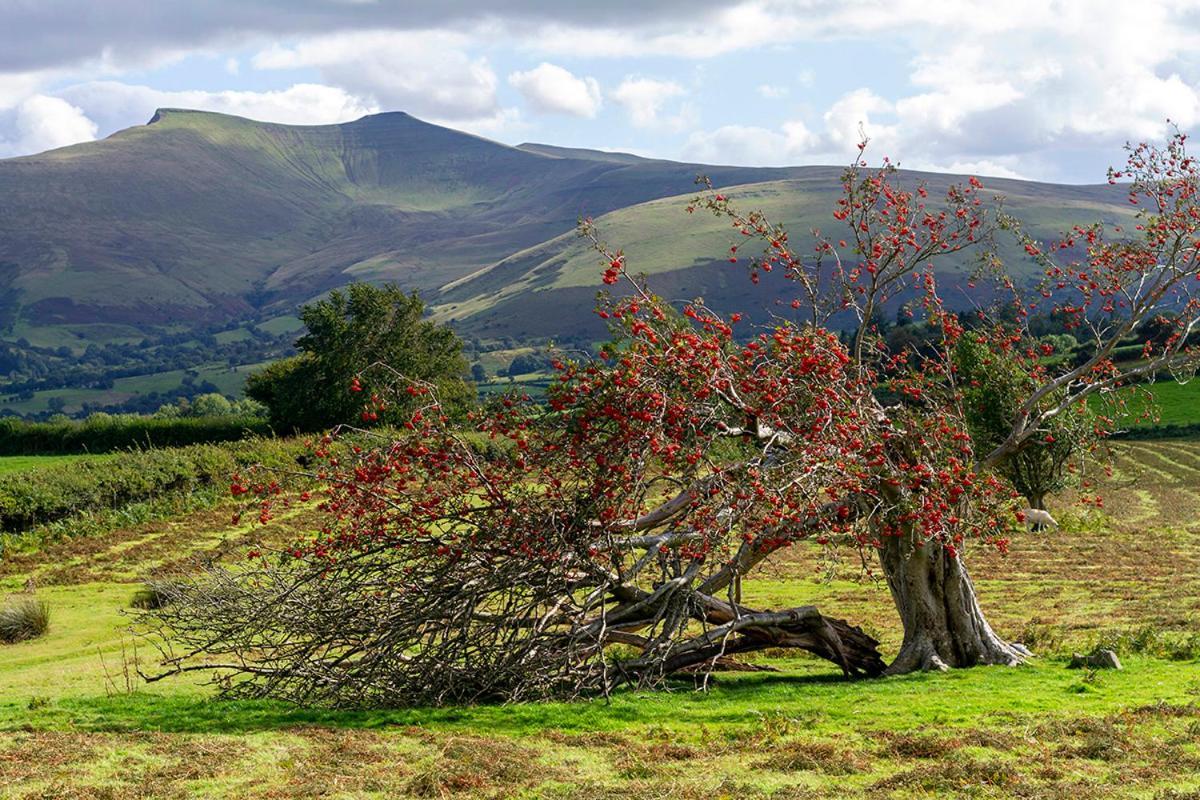 Picturesque 2 Bedroom Miners Cottage Near Bike Park Wales & Brecon Beacons Мертір-Тідвіл Екстер'єр фото